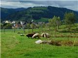 Reichenfels (most čez Labotnico / Lavant) - Peterer Hütte