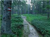 Alpl (Waldschulle Alpl) - Hauereckhütte