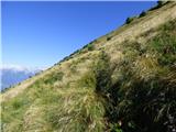 Planina Zapleč - Kal (greben Krnčice)