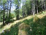 Soča - Vrh Ruš