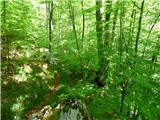 Planina Polog - Žlejžn