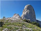 Stapina