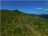 Oberfresen (Brendlwald) - Kleiner Frauenkogel (Golica / Koralpe)