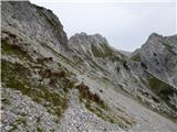 Zadnja Trenta (Flori) - Bavški Grintavec