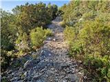 Ist - Straža (otok Ist)