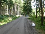 Reichenfels (most čez Labotnico / Lavant) - Peterer Hütte