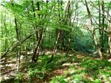 Planina Polog - Žlejžn