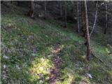 Gently sloping