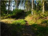 Alpl (Waldschulle Alpl) - Teufelsteinalm