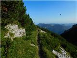 Niederalpl Ort - Hohe Veitsch