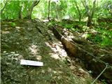 Jesenovo - Črni vrh (Čemšeniška planina)