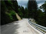 Javorje (Mala Črna) - Najevska lipa