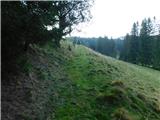 Alpl (Waldschulle Alpl) - Edelweißhütte auf der Waldtonialm