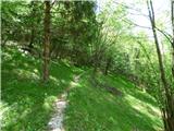 Planina Polog - Žlejžn