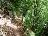 Drežniške Ravne - Curk Waterfall