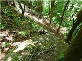 Jesenovo - Črni vrh (Čemšeniška planina)
