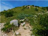 Planina Kuhinja - Krn