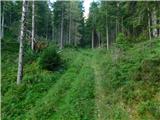 Niederalpl Ort - Hohe Veitsch