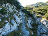 Robanov kot - Veliki vrh (Veža)