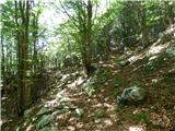 Žaga - Velika Baba (Kanin)