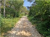 Crveni Vrh - Markovac