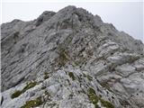 Zadnja Trenta (Flori) - Bavški Grintavec