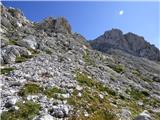 Bavšica - Zagorelec