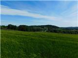 View from Beli breg.