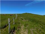 Oberfresen (Brendlwald) - Großer Speikkogel (Koralpe)