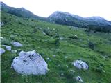 Planina Zapleč - Srednji vrh (at Krn)