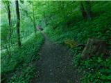 Zgornje Poljčane - Source of Topli (Studeniški) potok