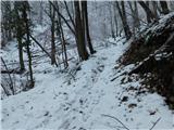 Loka pri Žusmu (Žamerk) - Sv. Valentin in sv. Jakob (Dobrina)