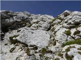 Zadnja Trenta (Flori) - Bavški Grintavec