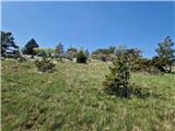 Škalnica - Pliševica
