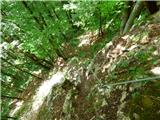 Jesenovo - Črni vrh (Čemšeniška planina)