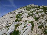 Planina Zapleč - Krn