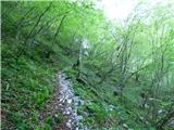 Planina Polog - Žlejžn