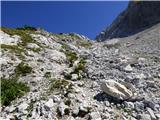 Bavšica - Zagorelec