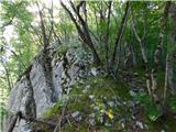 Ljubnica - Golek