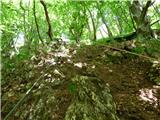 Jesenovo - Črni vrh (Čemšeniška planina)