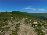 Oberfresen (Brendlwald) - Großer Frauenkogel