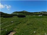 Raxalm-Berggasthof (Rax) - Heukuppe (Rax)