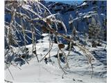 Bogatinsko sedlo (1803m) steklarski izdelki narave 2