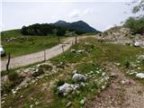 Drežniške Ravne - Planina Zapleč