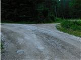 Javorje (Mala Črna) - Smrekovec