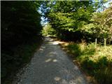 Slovenske Konjice (pokopališče) - Stolpnik