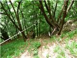 Jesenovo - Črni vrh (Čemšeniška planina)