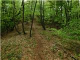Gračnica - Sveti Lovrenc (nad vasjo Okroglice)