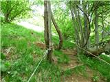 Jesenovo - Črni vrh (Čemšeniška planina)