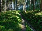 Aflenz Kurort (Bürgergraben) - Bürgeralm